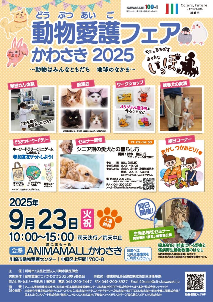 チラシ表面