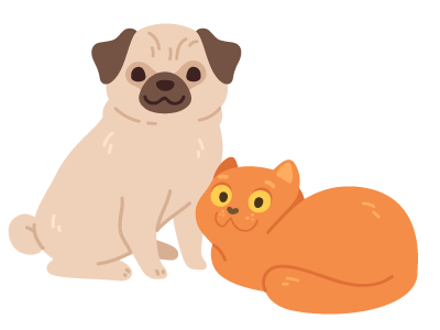 犬と猫