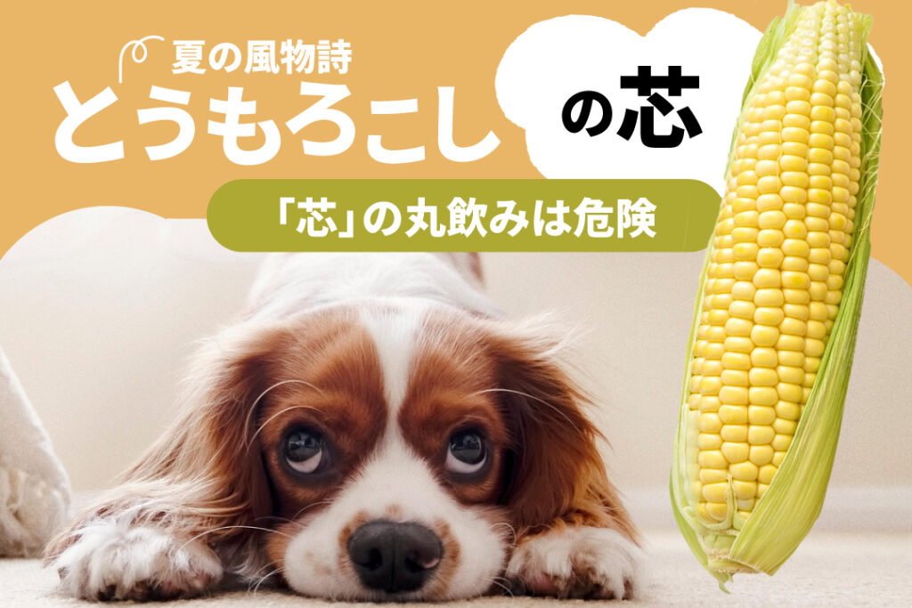 とうもろこしの丸呑みは危険