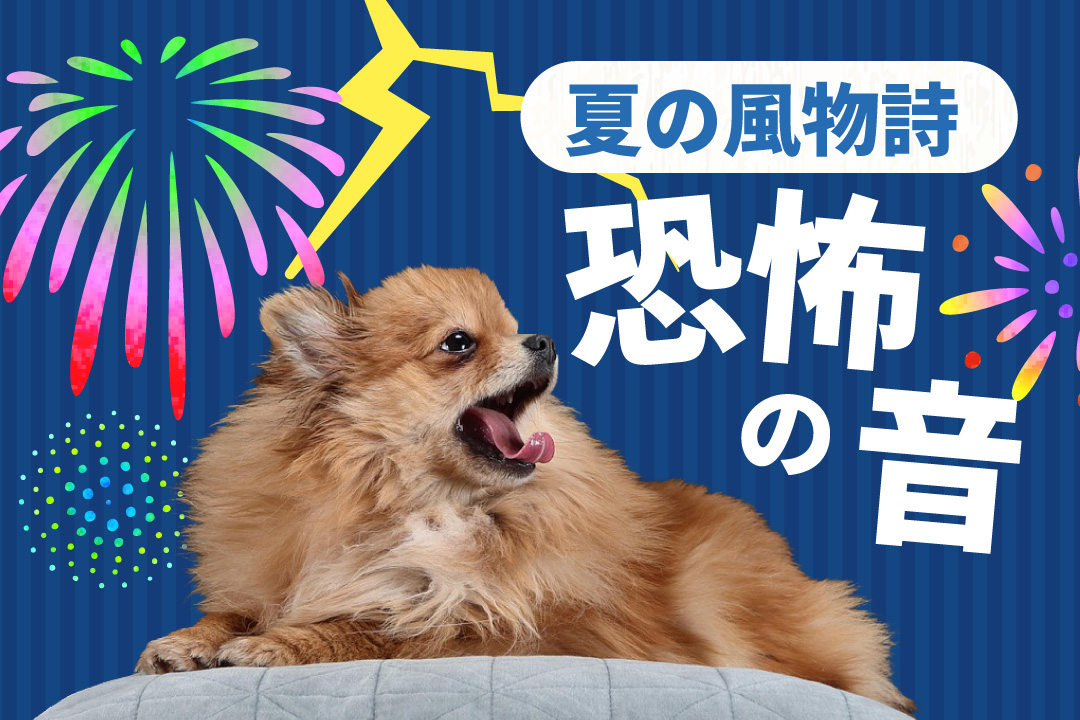 ペットにとって恐怖の音