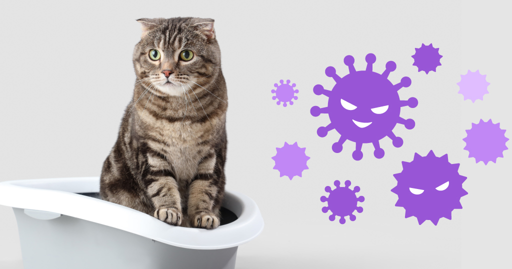 尿が出ない状態が続くと