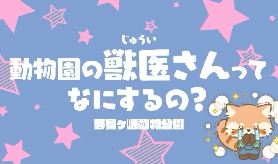 獣医さんって何するの？