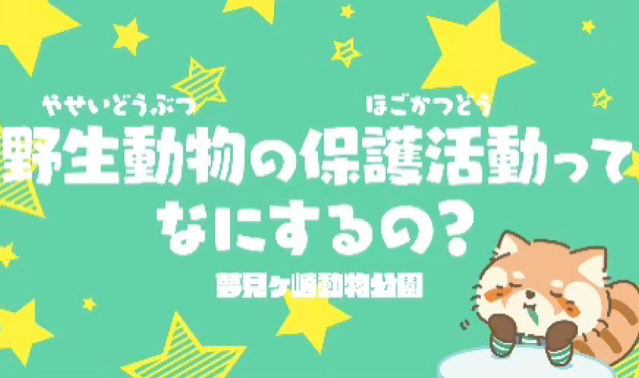 野生動物の保護活動ってなにするの？