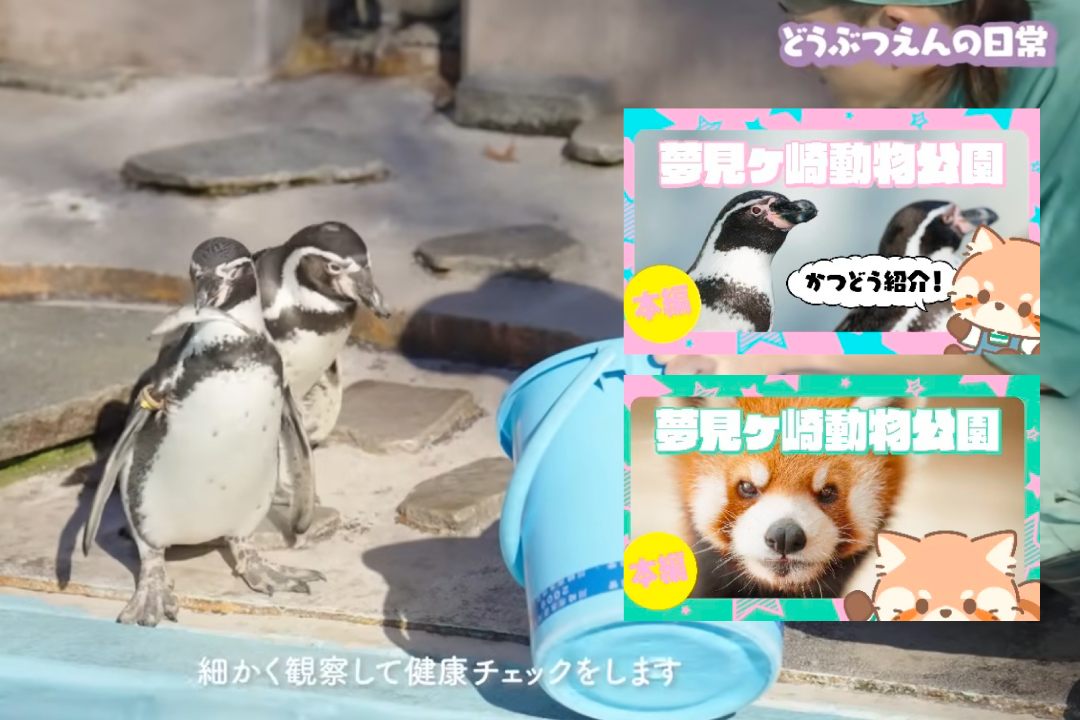 いのちを感じる取組を紹介する動画