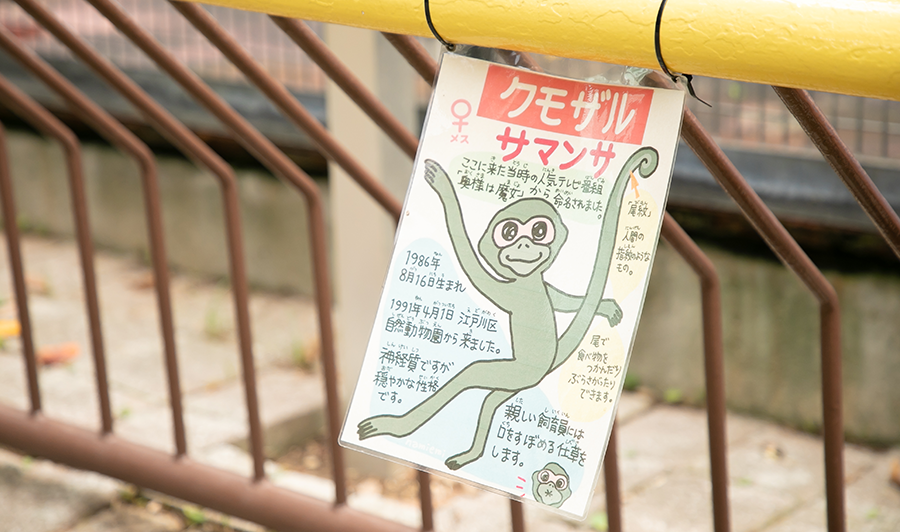 さる・イラスト