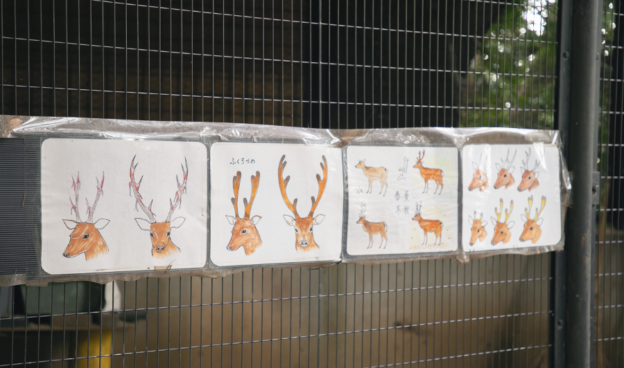 ツノ・イラスト