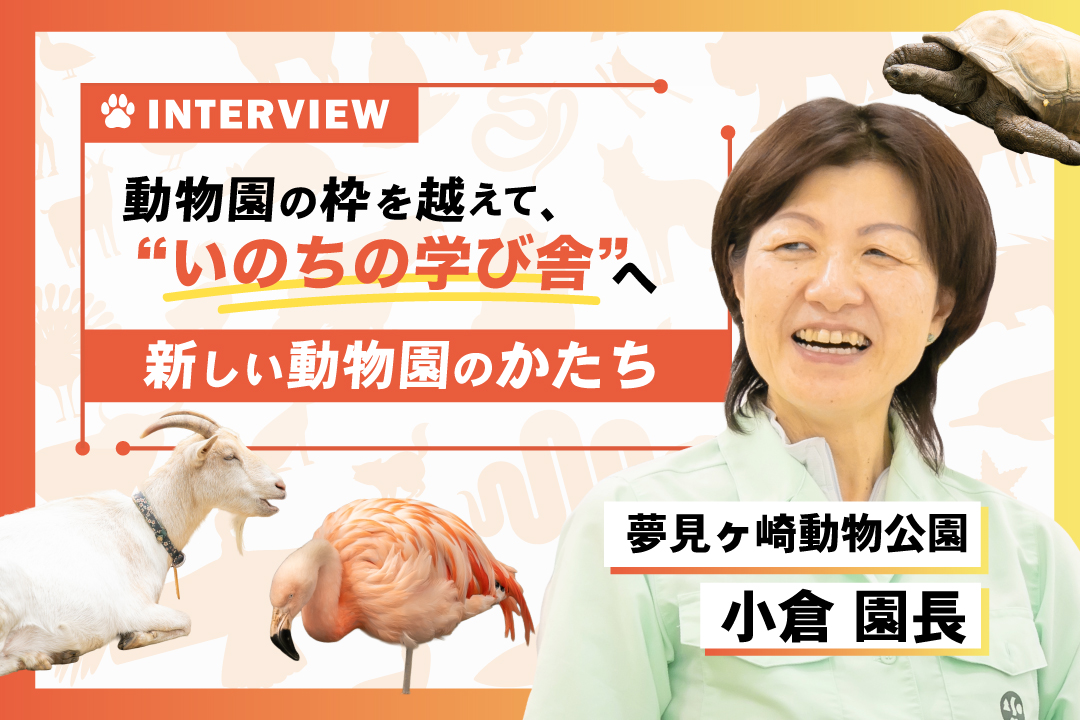 夢見ヶ崎動物公園インタビュー