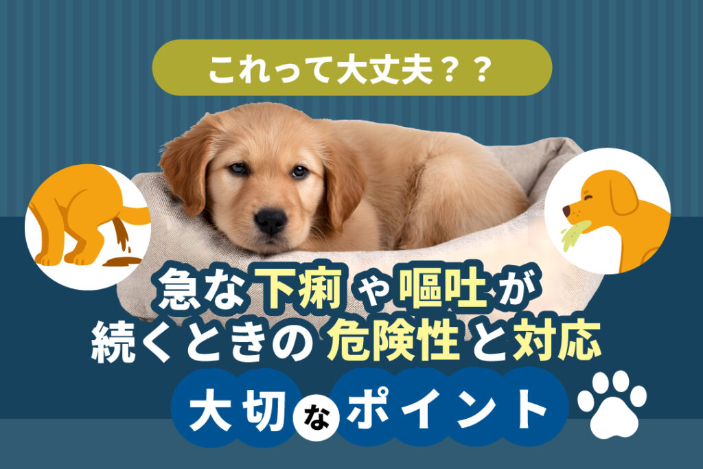 下痢や嘔吐の危険性