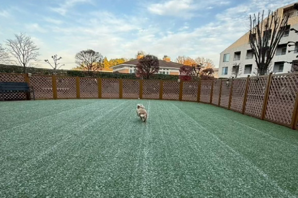 無料ドッグラン