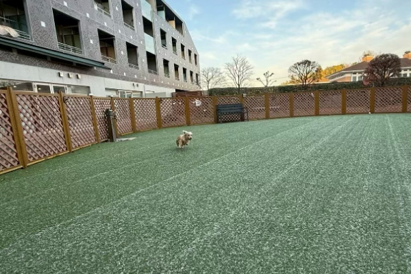 併設ドッグラン