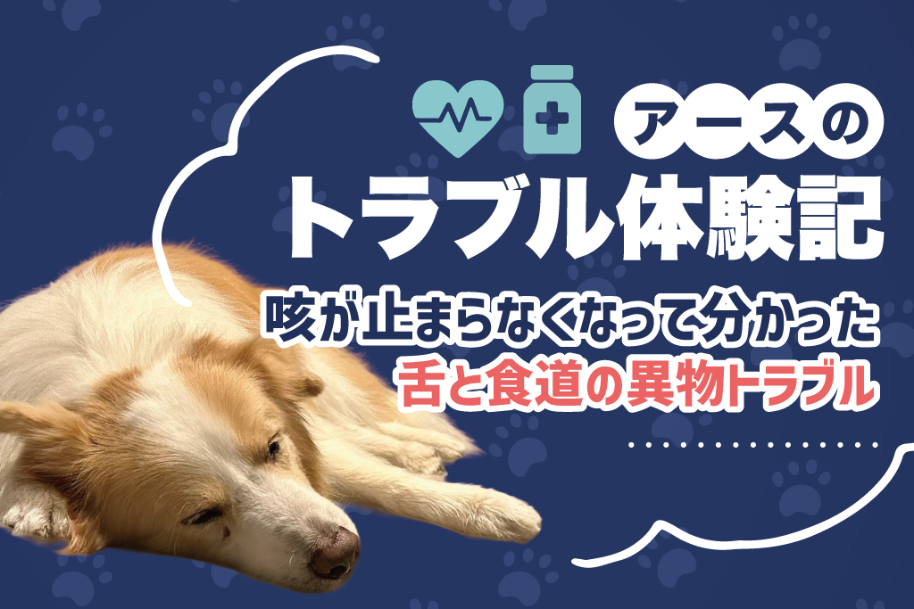 アースのトラブル体験記