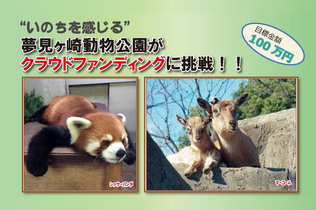 クラウドファンディング