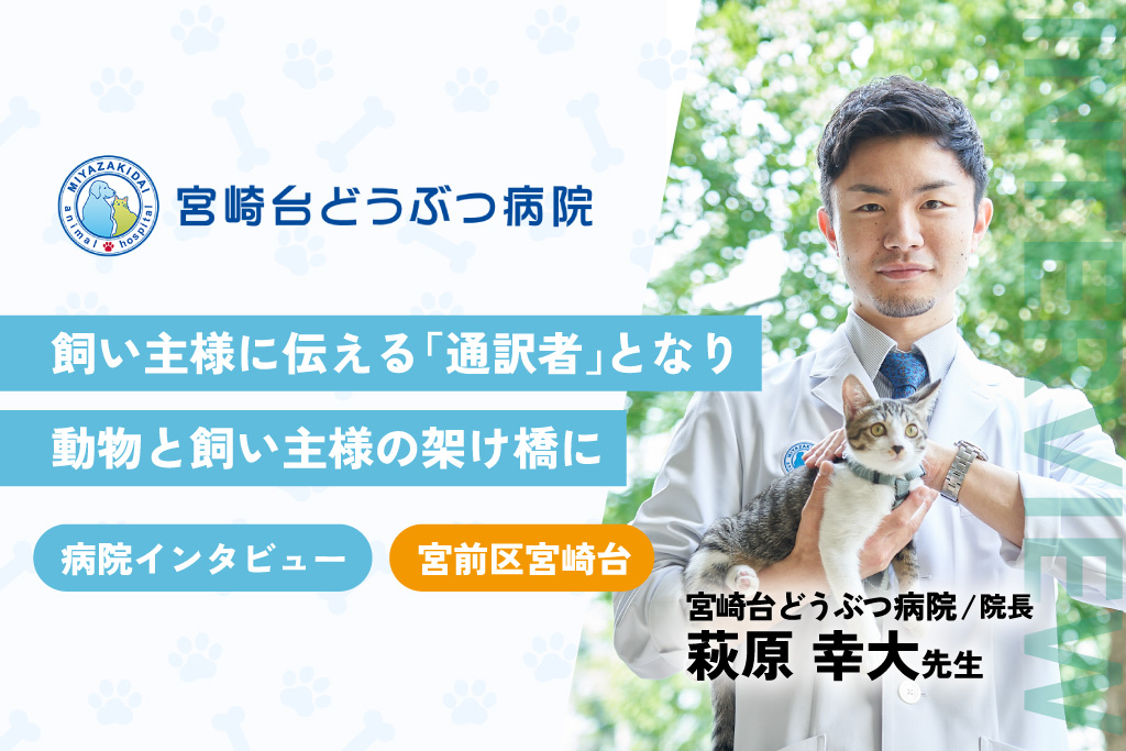 宮崎台どうぶつ病院